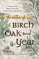 Die Weisheit von Birke, Eiche und Eibe: Verbindung zur Magie der Bäume für Führung und Transformation - The Wisdom of Birch, Oak, and Yew: Connect to the Magic of Trees for Guidance & Transformation