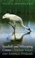 Sandhügel- und Schreikraniche: Uralte Stimmen über Amerikas Feuchtgebiete - Sandhill and Whooping Cranes: Ancient Voices Over America's Wetlands