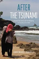 Nach dem Tsunami: Katastrophengeschichten und die Neugestaltung des Alltagslebens in Aceh - After the Tsunami: Disaster Narratives and the Remaking of Everyday Life in Aceh