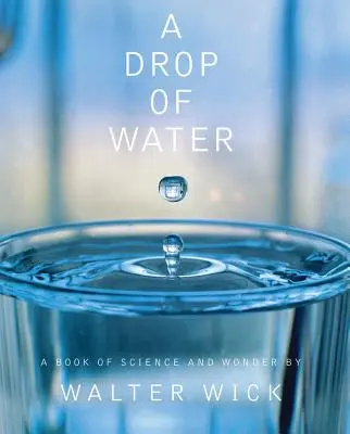 Ein Tropfen Wasser: Ein Buch über Wissenschaft und Wunder - A Drop of Water: A Book of Science and Wonder