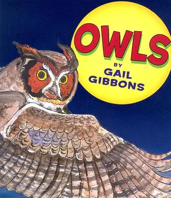 Eulen - Owls