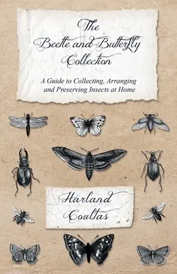 Die Käfer- und Schmetterlingssammlung - Ein Leitfaden zum Sammeln, Arrangieren und Konservieren von Insekten zu Hause - The Beetle and Butterfly Collection - A Guide to Collecting, Arranging and Preserving Insects at Home