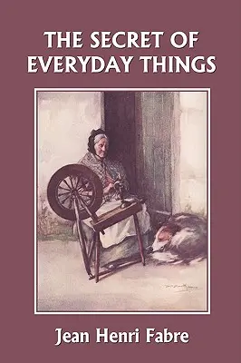 Das Geheimnis der alltäglichen Dinge (Yesterday's Classics) - The Secret of Everyday Things (Yesterday's Classics)