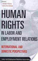 Menschenrechte in Arbeits- und Beschäftigungsbeziehungen: Internationale und innerstaatliche Perspektiven - Human Rights in Labor and Employment Relations: International and Domestic Perspectives