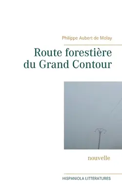 Route forestire du Grand Contour