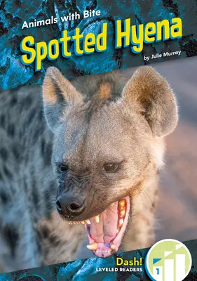 Tüpfelhyäne - Spotted Hyena