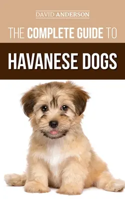 Der komplette Leitfaden für Havaneser-Hunde: Alles, was Sie wissen müssen, um Ihren neuen Havaneser-Welpen erfolgreich zu finden, aufzuziehen, zu erziehen und zu lieben - The Complete Guide to Havanese Dogs: Everything You Need To Know To Successfully Find, Raise, Train, and Love Your New Havanese Puppy