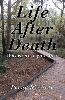 Leben nach dem Tod: Wohin gehe ich jetzt? - Life After Death: Where do I go now