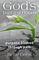 Gottes Entbindungsraum: Durch Schmerz zur Welt gekommene Bestimmung - God's Birthing Room: Purpose Birthed Through Pain