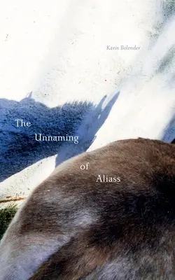 Die Unbenennung von Aliass - The Unnaming of Aliass