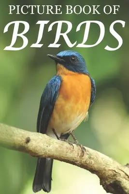 Bilderbuch der Vögel: Für Senioren mit Demenz [Bunte Bilderbücher] - Picture Book of Birds: For Seniors with Dementia [Colorful Picture Books]