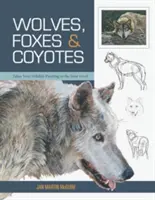 Wölfe, Füchse & Kojoten (Grundlagen der Tiermalerei) - Wolves, Foxes & Coyotes (Wildlife Painting Basics)