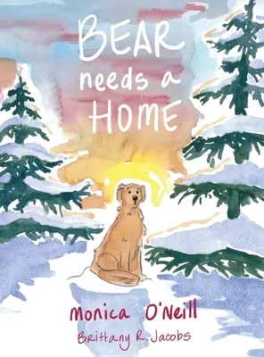 Bear Needs A Home (Bär braucht ein Zuhause) - Bear Needs A Home