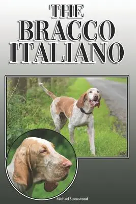 Der Bracco Italiano: Ein kompletter und umfassender Leitfaden für den Besitzer: Kaufen, Besitzen, Gesundheit, Pflege, Training, Gehorsam, Verstehen und - The Bracco Italiano: A Complete and Comprehensive Owners Guide To: Buying, Owning, Health, Grooming, Training, Obedience, Understanding and