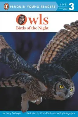 Eulen: Vögel der Nacht - Owls: Birds of the Night