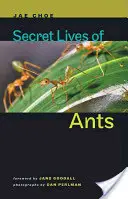 Das geheime Leben der Ameisen - Secret Lives of Ants