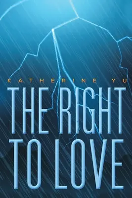 Das Recht zu lieben - The Right to Love