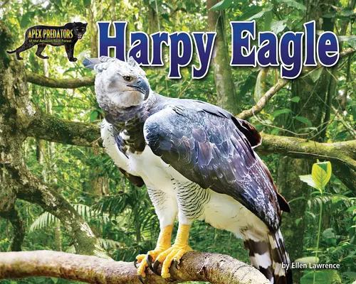 Harpyienadler - Harpy Eagle