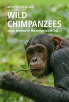 Wilde Schimpansen: Das Sozialverhalten einer gefährdeten Spezies - Wild Chimpanzees: Social Behavior of an Endangered Species