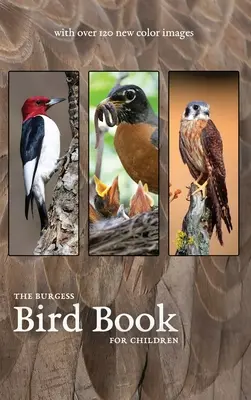 Das Burgess Vogelbuch mit neuen Farbbildern - The Burgess Bird Book with new color images