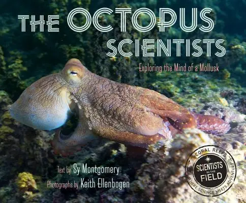 Die Oktopus-Wissenschaftler - The Octopus Scientists