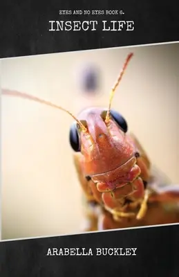 Insektenleben - Insect Life