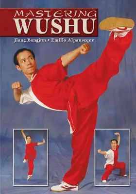 Wushu meistern - Mastering Wushu