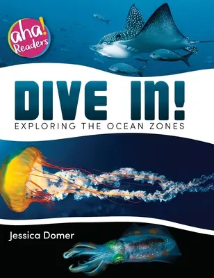 Eintauchen! Erkundung der Ozeanzonen - Dive In!: Exploring the Ocean Zones