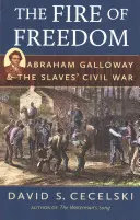 Das Feuer der Freiheit: Abraham Galloway und der Bürgerkrieg der Sklaven - The Fire of Freedom: Abraham Galloway and the Slaves' Civil War