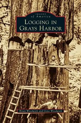 Holzeinschlag in Grays Harbor - Logging in Grays Harbor