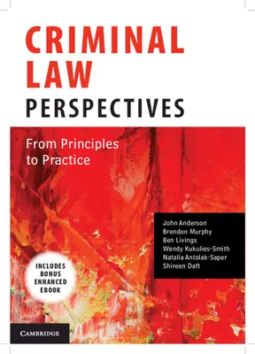 Strafrechtsperspektiven: Von den Grundsätzen zur Praxis - Criminal Law Perspectives: From Principles to Practice