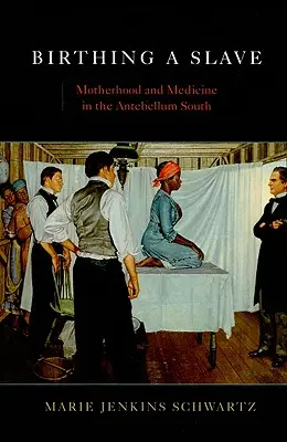 Die Geburt einer Sklavin: Mutterschaft und Medizin im Süden des Antebellums - Birthing a Slave: Motherhood and Medicine in the Antebellum South