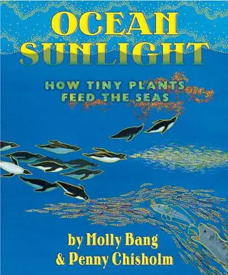 Ozeanisches Sonnenlicht: Wie winzige Pflanzen die Meere ernähren - Ocean Sunlight: How Tiny Plants Feed the Seas