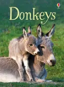 Esel - Donkeys