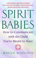 Geistige Babys: Wie man mit dem Kind kommuniziert, das man haben soll - Spirit Babies: How to Communicate with the Child You're Meant to Have