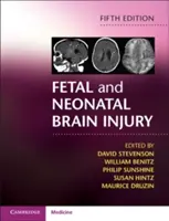 Fötale und neonatale Hirnverletzungen - Fetal and Neonatal Brain Injury