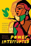 Die unterbrochene Macht: Antirassistischer und feministischer Aktivismus innerhalb der Vereinten Nationen - Power Interrupted: Antiracist and Feminist Activism inside the United Nations