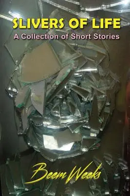 Splitter des Lebens: Eine Sammlung von Kurzgeschichten - Slivers of Life: A Collection of Short Stories