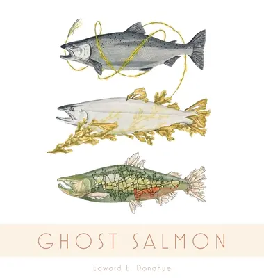 Geisterlachs - Ghost Salmon