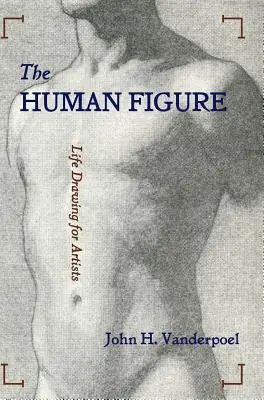 Die menschliche Figur - The Human Figure