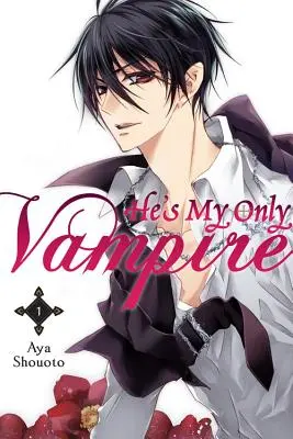 Er ist mein einziger Vampir, Band 1 - He's My Only Vampire, Volume 1