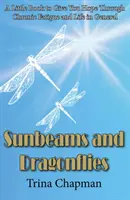 Sonnenstrahlen und Libellen - Ein kleines Buch, das Ihnen Hoffnung bei chronischer Müdigkeit und im Leben allgemein gibt - Sunbeams and Dragonflies - A Little Book to Give You Hope Through Chronic Fatigue and Life in General