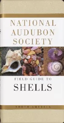 National Audubon Society Field Guide to North American Seashells (Feldführer für nordamerikanische Muscheln) - National Audubon Society Field Guide to North American Seashells