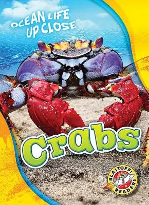 Krabben - Crabs