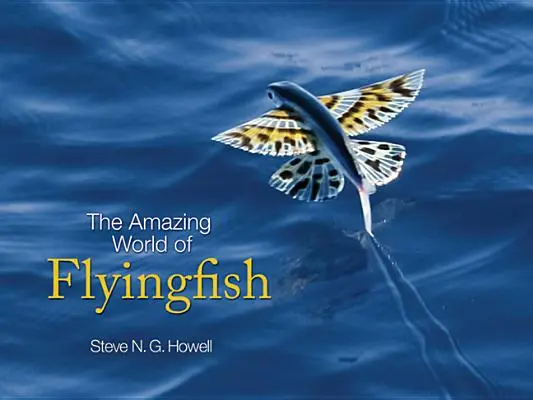 Die wunderbare Welt der Fliegenfische - The Amazing World of Flyingfish