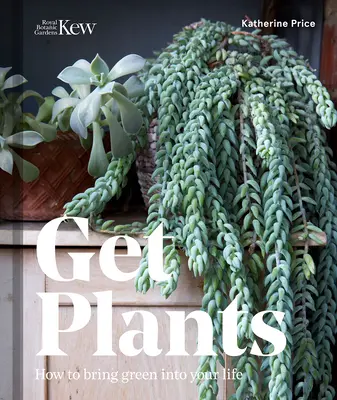 Pflanzen bekommen: Wie Sie Grün in Ihr Leben bringen - Get Plants: How to Bring Green Into Your Life