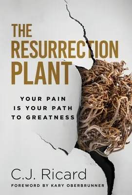 Die Auferstehungspflanze: Dein Schmerz ist dein Weg zur Größe - The Resurrection Plant: Your Pain Is Your Path To Greatness