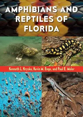 Amphibien und Reptilien in Florida - Amphibians and Reptiles of Florida