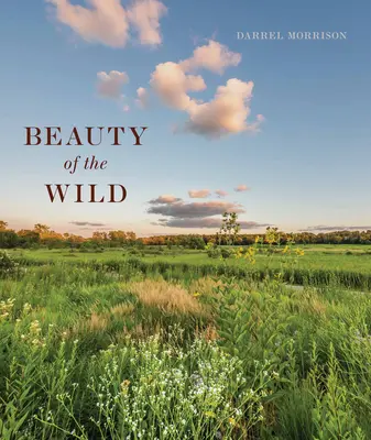 Schönheit der Wildnis: Ein Leben als Landschaftsgestalterin, inspiriert von der Natur - Beauty of the Wild: A Life Designing Landscapes Inspired by Nature