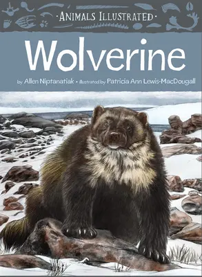 Illustrierte Tiere: Vielfraß - Animals Illustrated: Wolverine